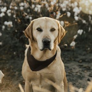 Meet your Posher, Sabrina